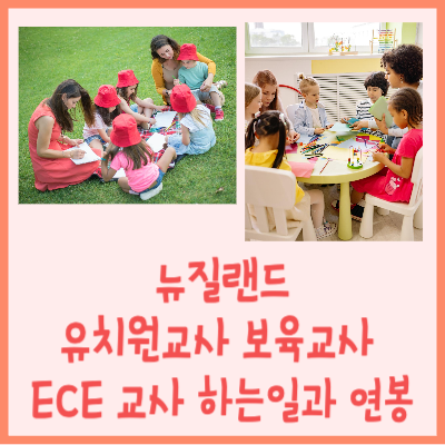 뉴질랜드 ECE교사 썸네일